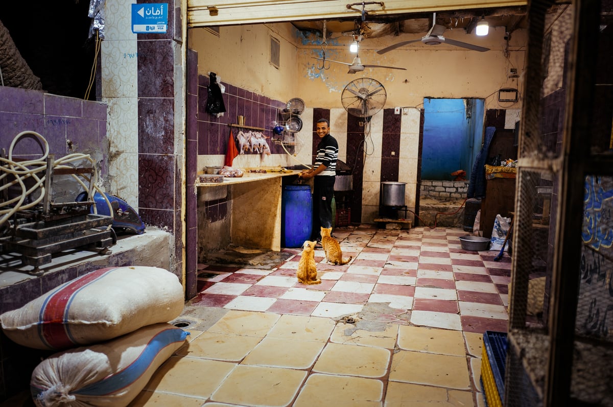 Isolation in an Oasis — Siwa, Egypt — frame